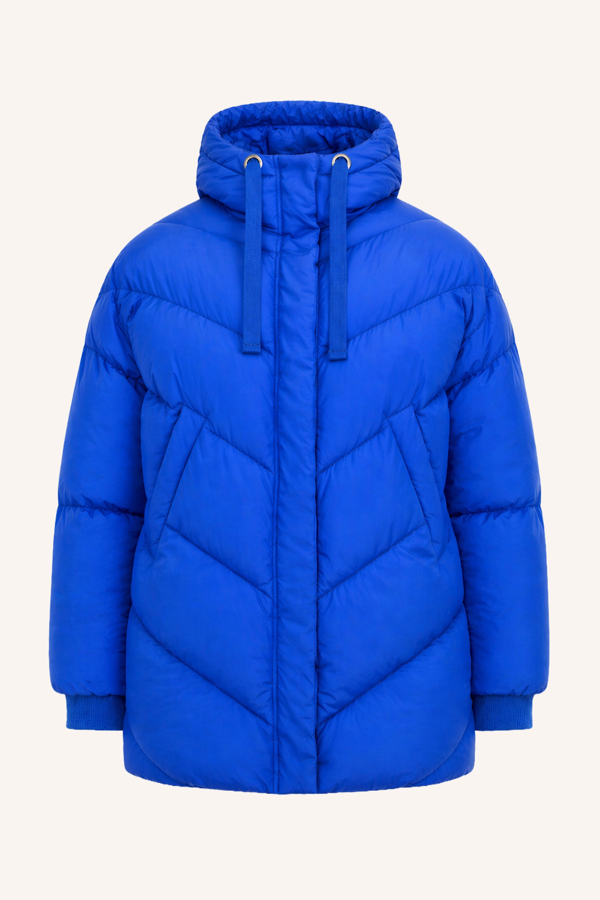 franky jacket | kingsblue